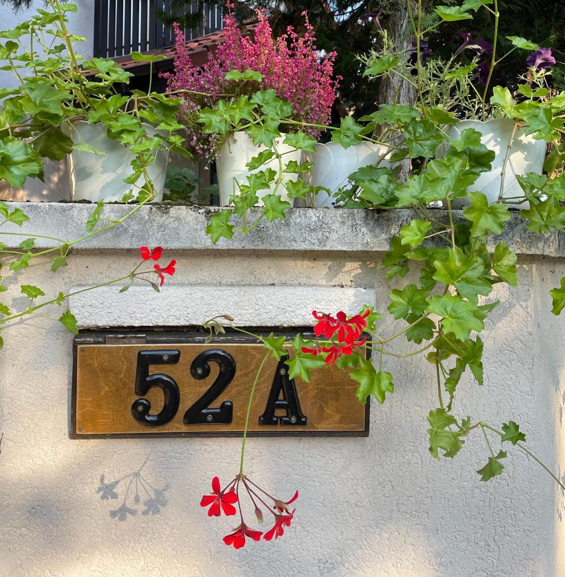 Sulekova 52A Daire Bratislava Dış mekan fotoğraf